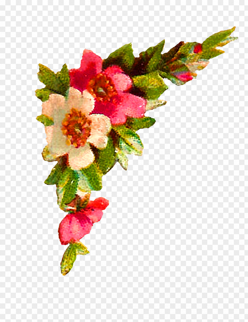Peach Flower Quran Urdu Dua Islam Hindi PNG
