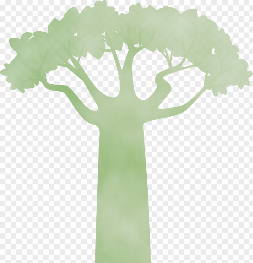 Plant Stem Green M-tree Meter Tree PNG