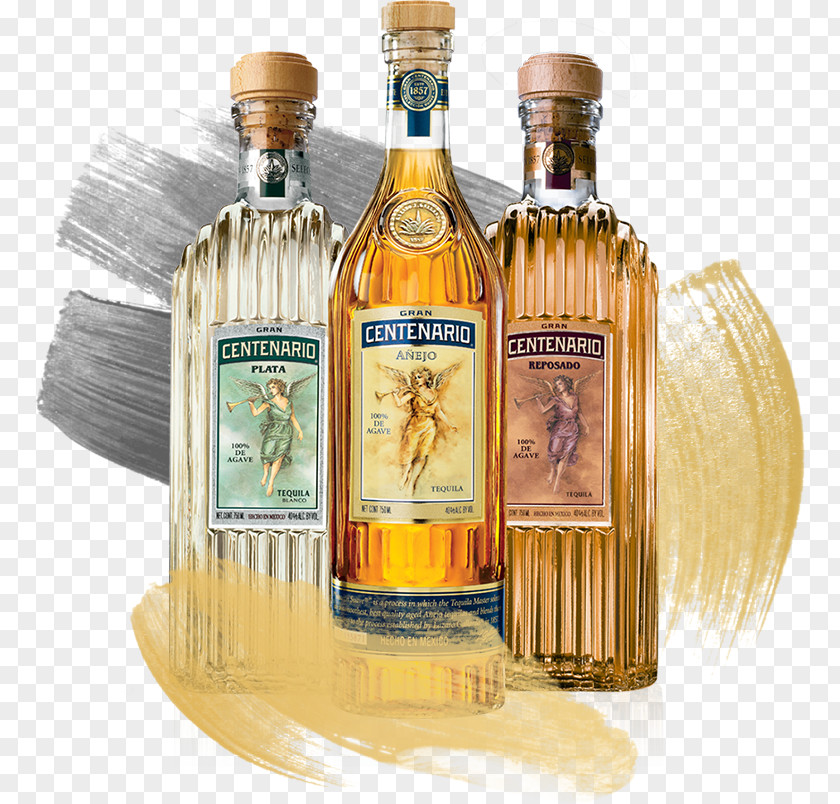 Tequila 1800 Distilled Beverage Liqueur Drink PNG