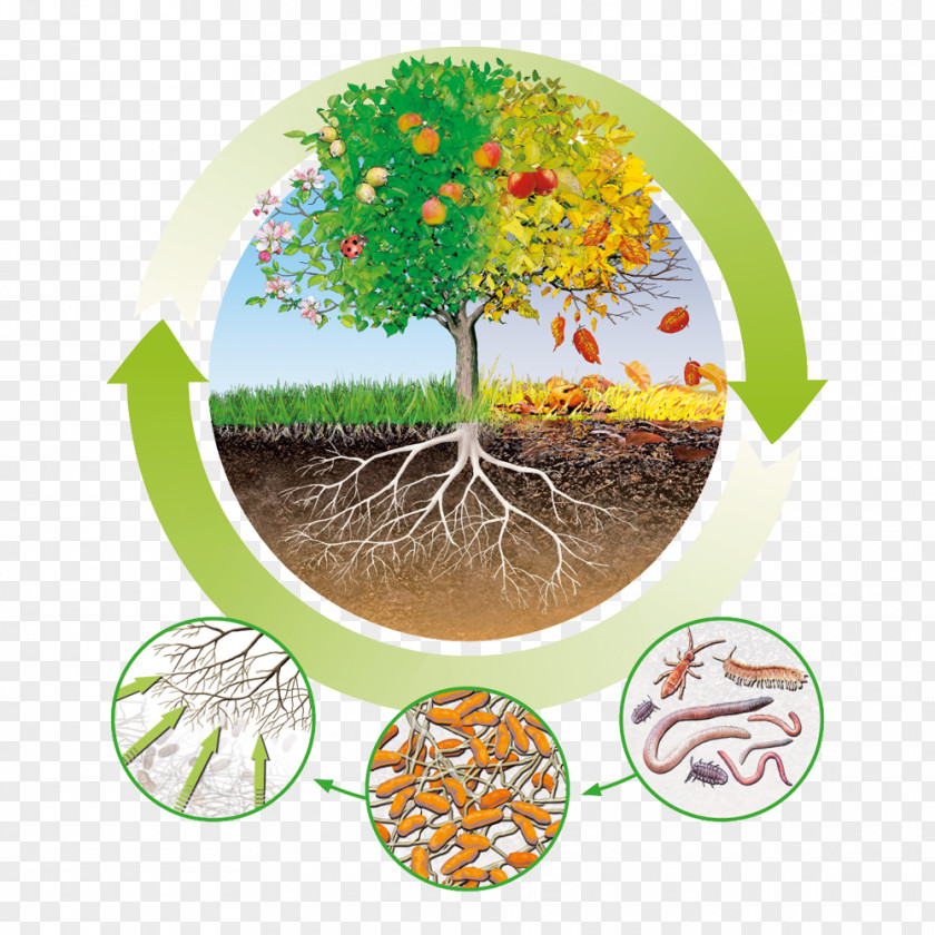 Balkon Fertilisers Humus Nutrient Circular Economy Organic Matter PNG