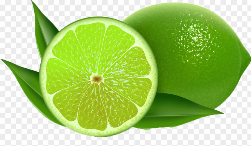 Fresh Lemon Persian Lime Key Clip Art PNG