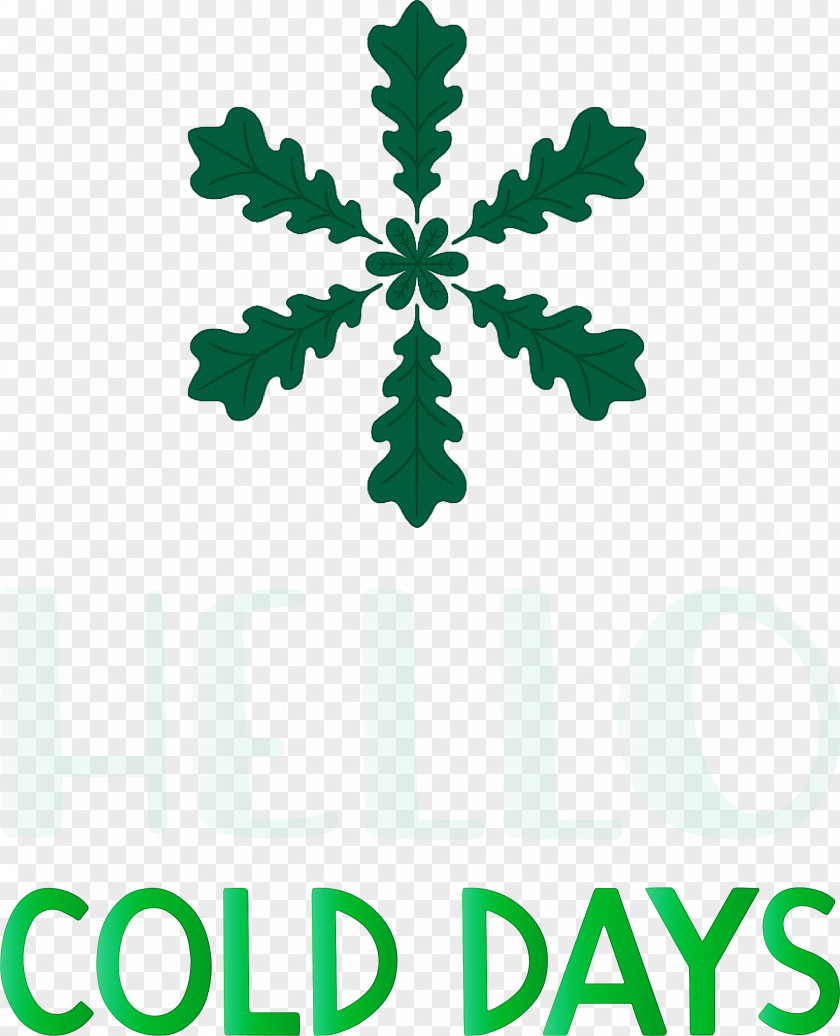 Hello Cold Days Winter Snow PNG