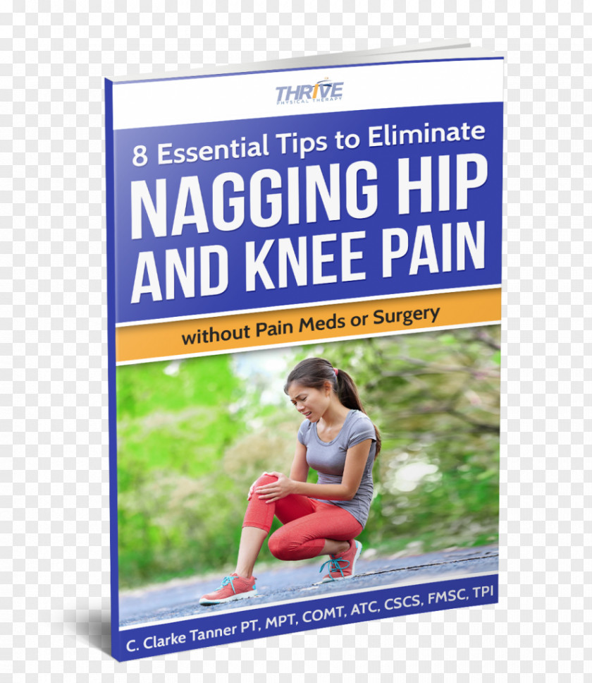 Knee Pain Thrive Physical Therapy Joint PNG