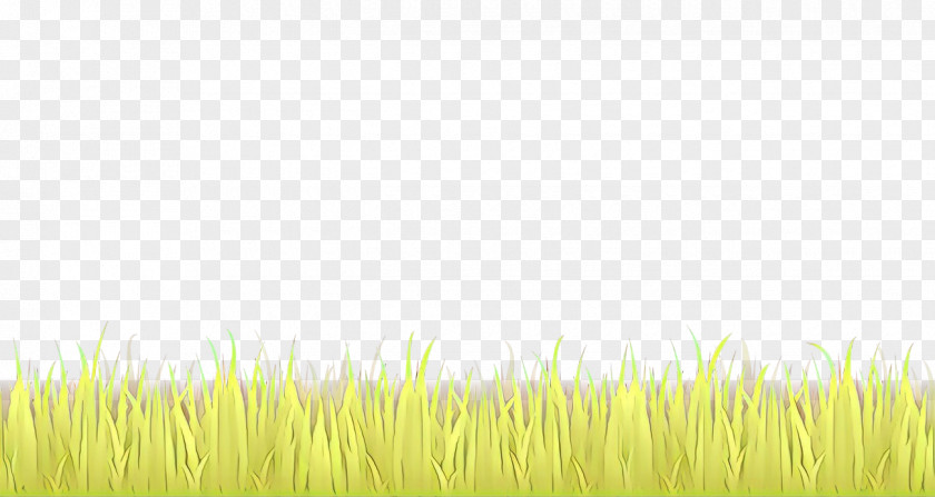 Lawn Prairie Grass Background PNG