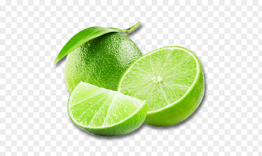 Lime Lemon Juice Persian Key Limeade PNG