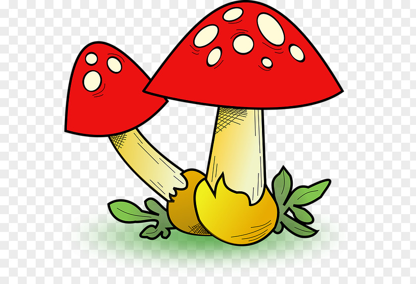 Mushroom Fungus Edible Clip Art PNG