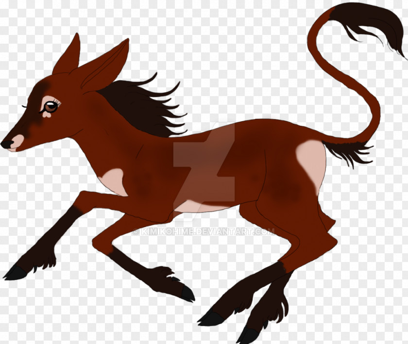 Mustang Colt Dog Pack Animal Canidae PNG