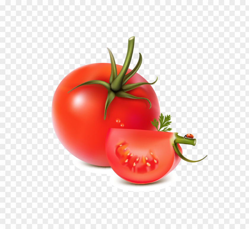 Tomato Vegetable Fruit PNG