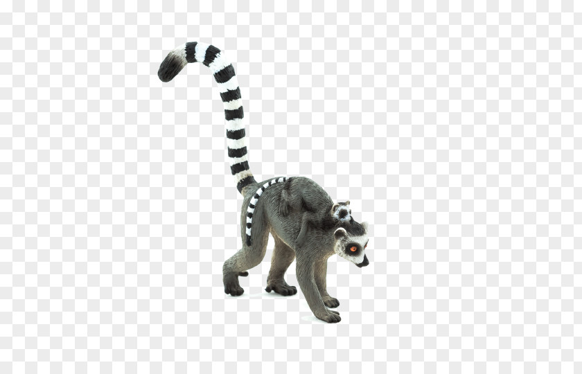 Duke Lemur Center Baby Lemurs Ring-tailed Clip Art PNG