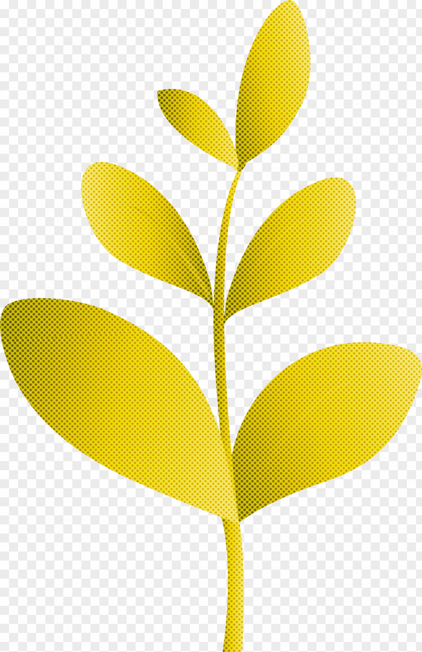 Sprout Bud Seed PNG