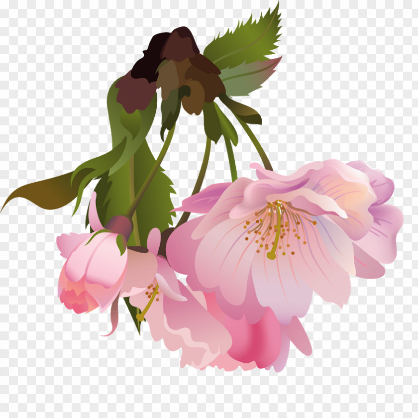 Flower Photography Clip Art PNG