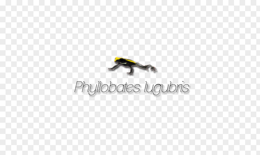 Line Reptile Logo Brand Font PNG