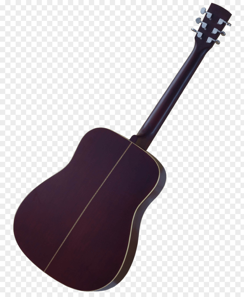 Acoustic Guitar Acoustic-electric Bass Archtop PNG