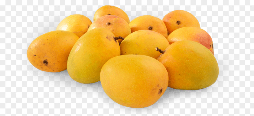 Passion Fruit Ratnagiri International Mango Festival Konkan Alphonso Organic Food PNG