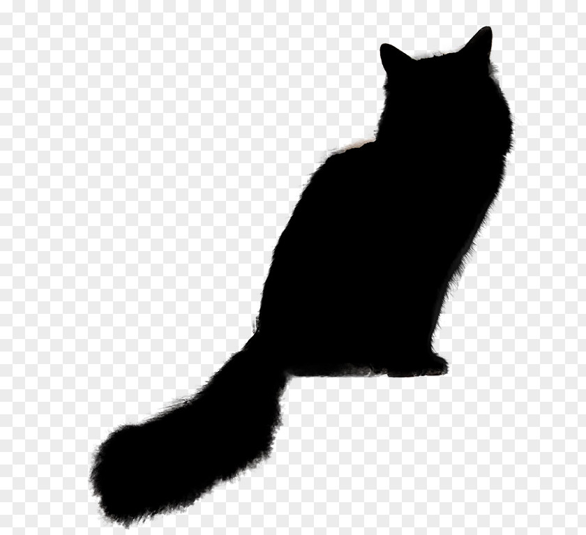 Paw Squirrel Cat Black Small To Medium-sized Cats Tail Whiskers PNG