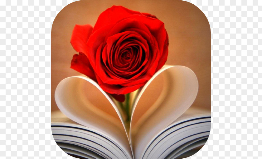 Book Heart Rose Romance Novel PNG