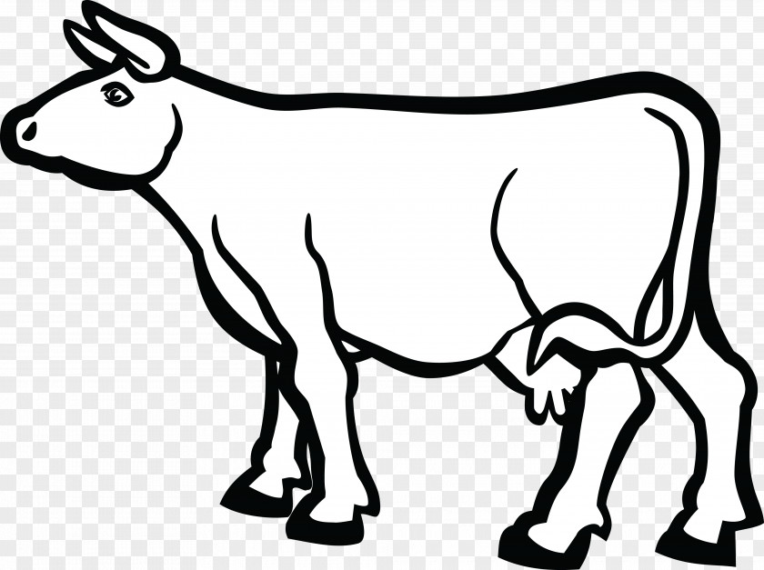 Cow Clipart University Of Kansas Baka Holstein Friesian Cattle Calf Dairy PNG