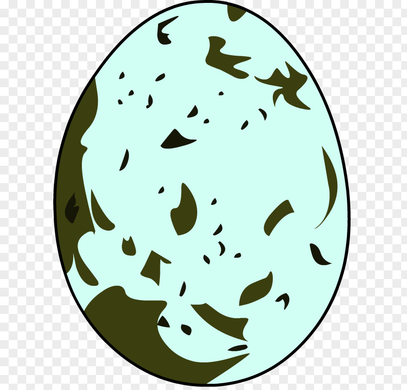 Gaviota Egg Bird Nest Clip Art PNG