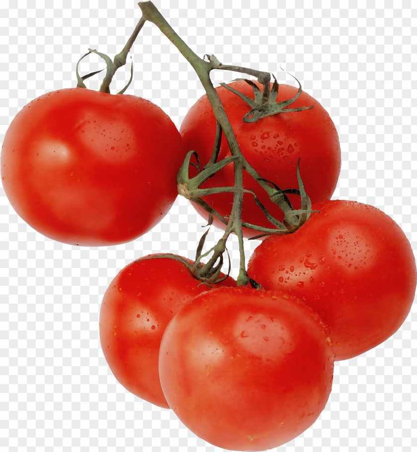 Plum Tomato Cherry Tomatoes PNG