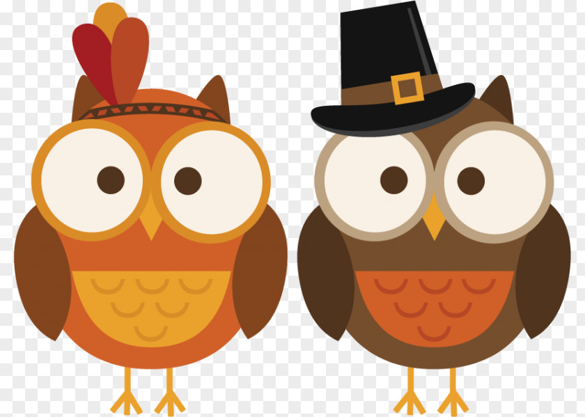 Thanksgiving Turkey Owl Cuisine Of The United States Clip Art PNG