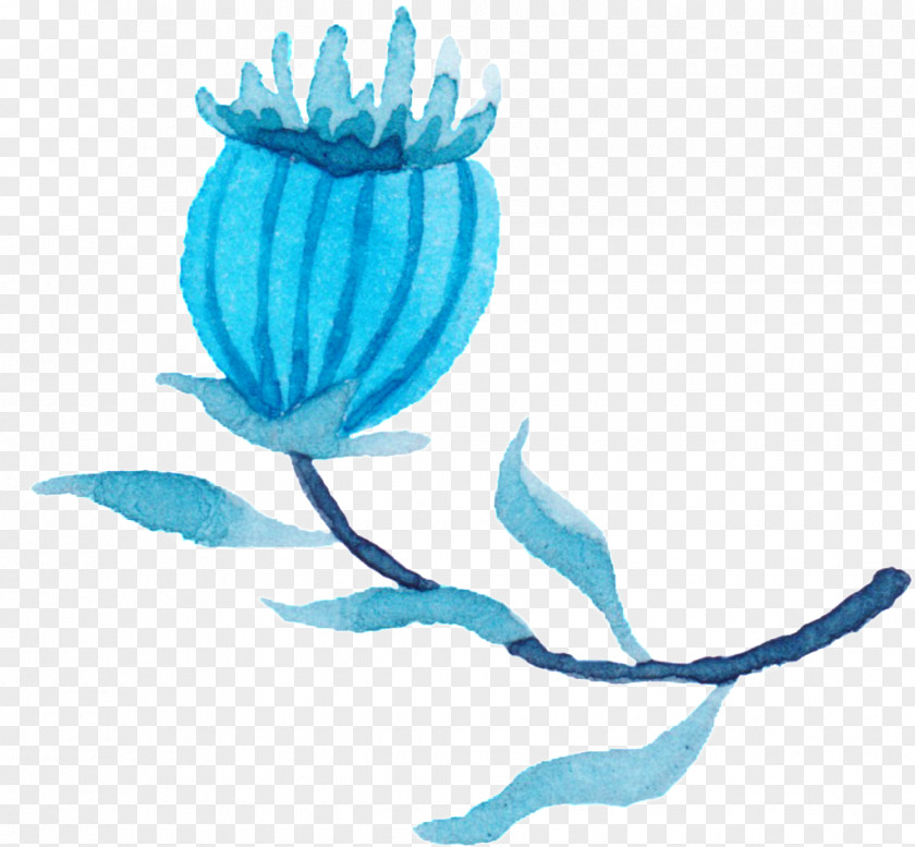 Advice Watercolor Painting Watercolor: Flowers Poppy Transparent Image PNG