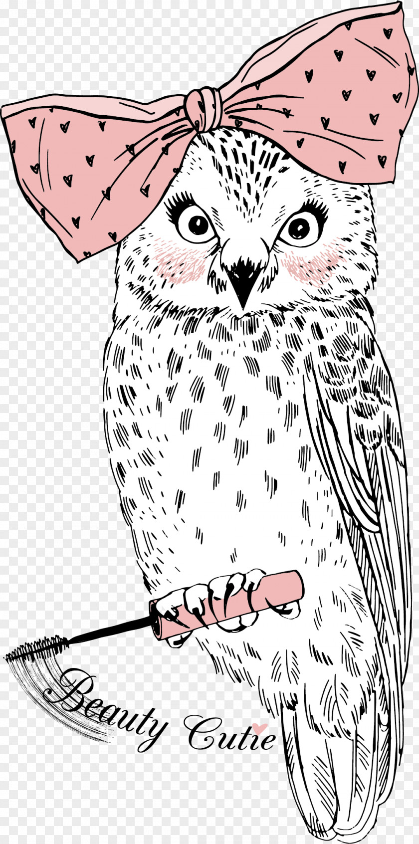 Cartoon Owl Vector IPod Touch Clip Art PNG