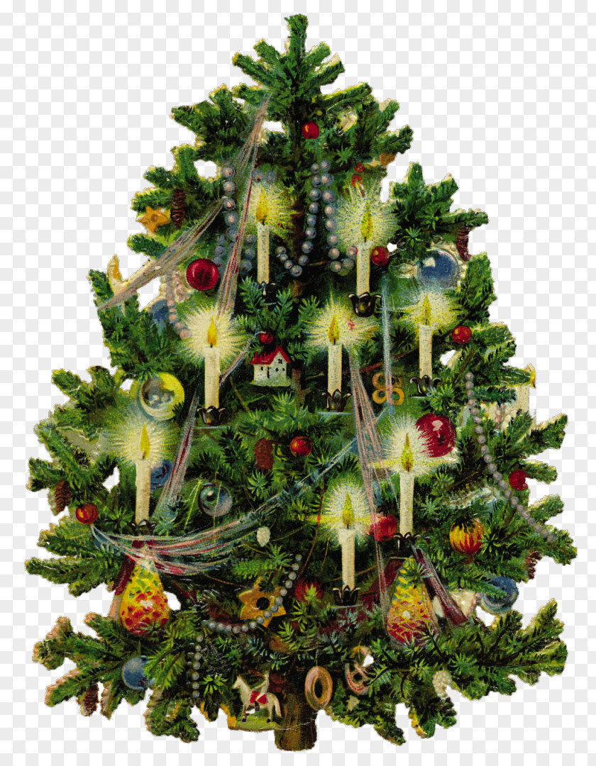 Interior Design Holiday Ornament Christmas Tree PNG