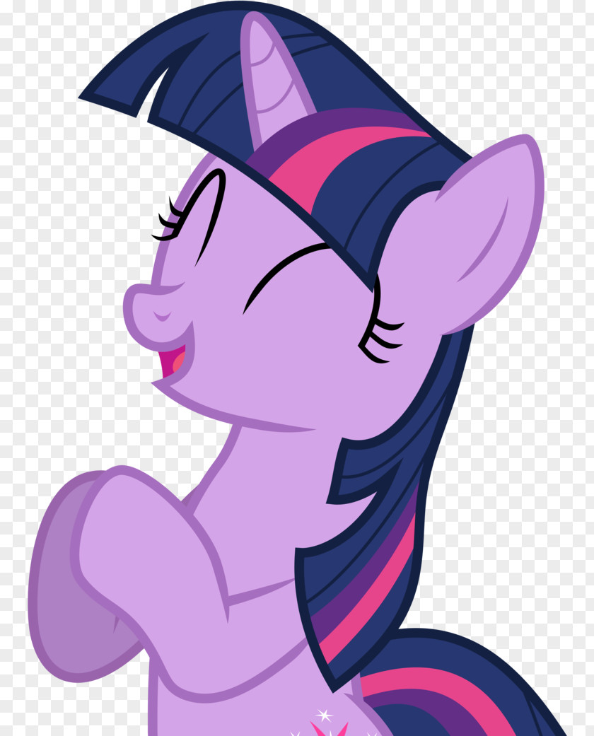 My Little Pony Twilight Sparkle Spike Rarity Pinkie Pie PNG