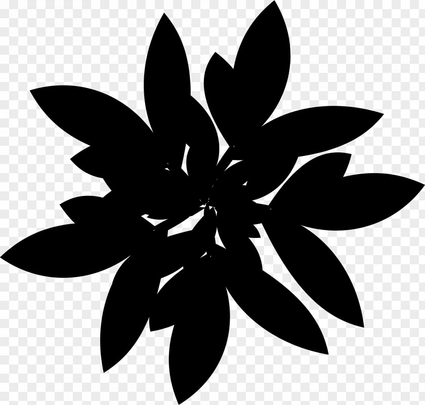 Pattern Symmetry Line Leaf Flowering Plant PNG