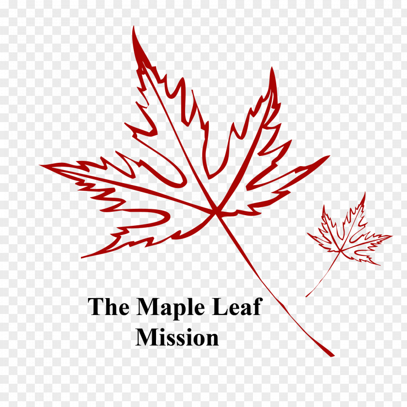 Red Maple Leaf Nature Bar Design Photographer PNG
