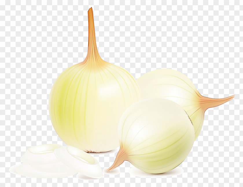 Yellow Onion Vegetable Garlic Illustration PNG