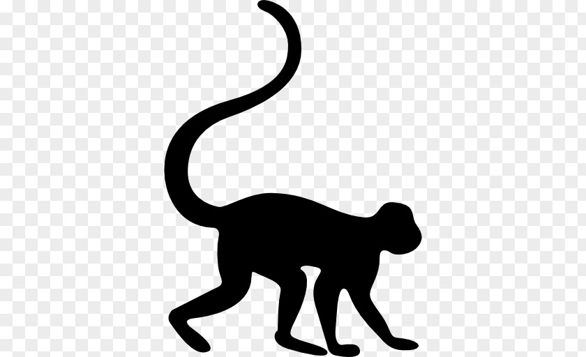 Zoo Vector Monkey Clip Art PNG