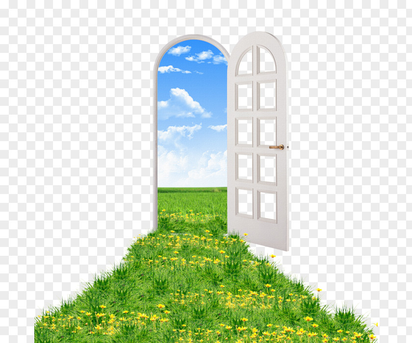 Door Glass PNG