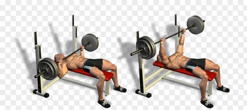 Dumbbell Pullover Exercise Bench Press Fitness Centre Bodybuilding PNG