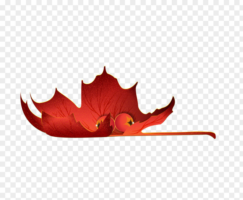 Leaf Autumn Clip Art PNG