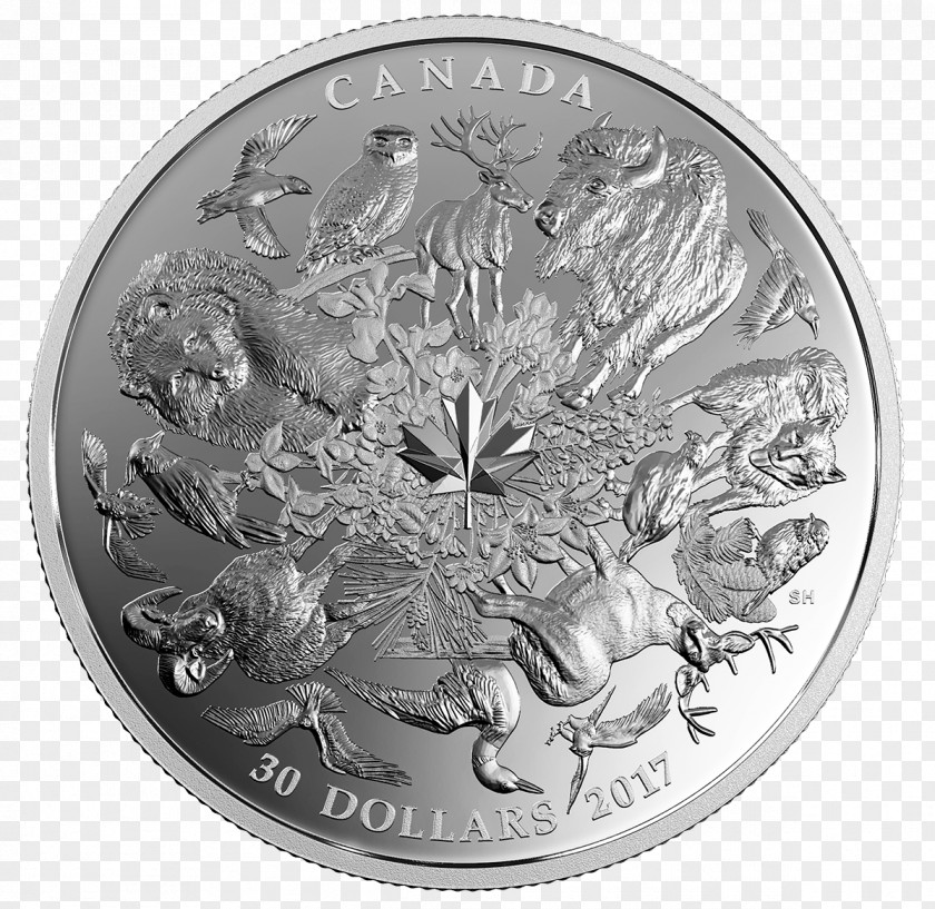 Metal Coin 150th Anniversary Of Canada Silver Flora PNG