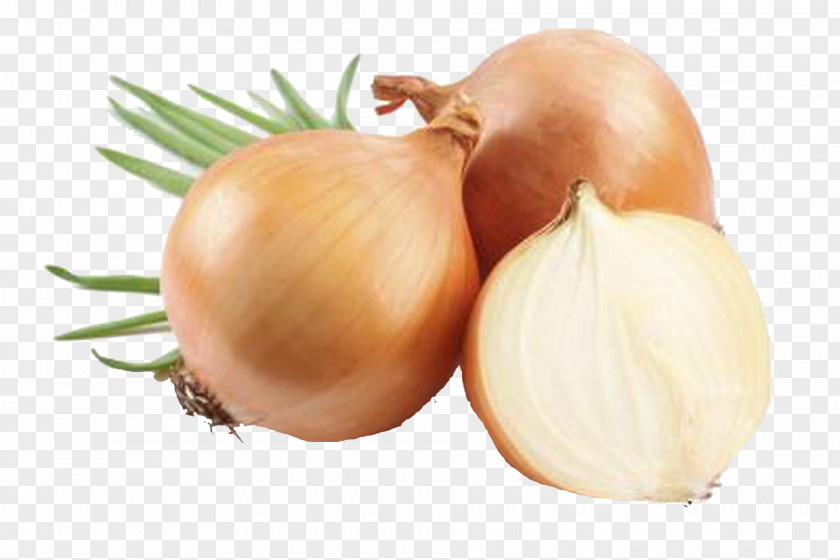 Onion Yellow Food Vegetable Red PNG
