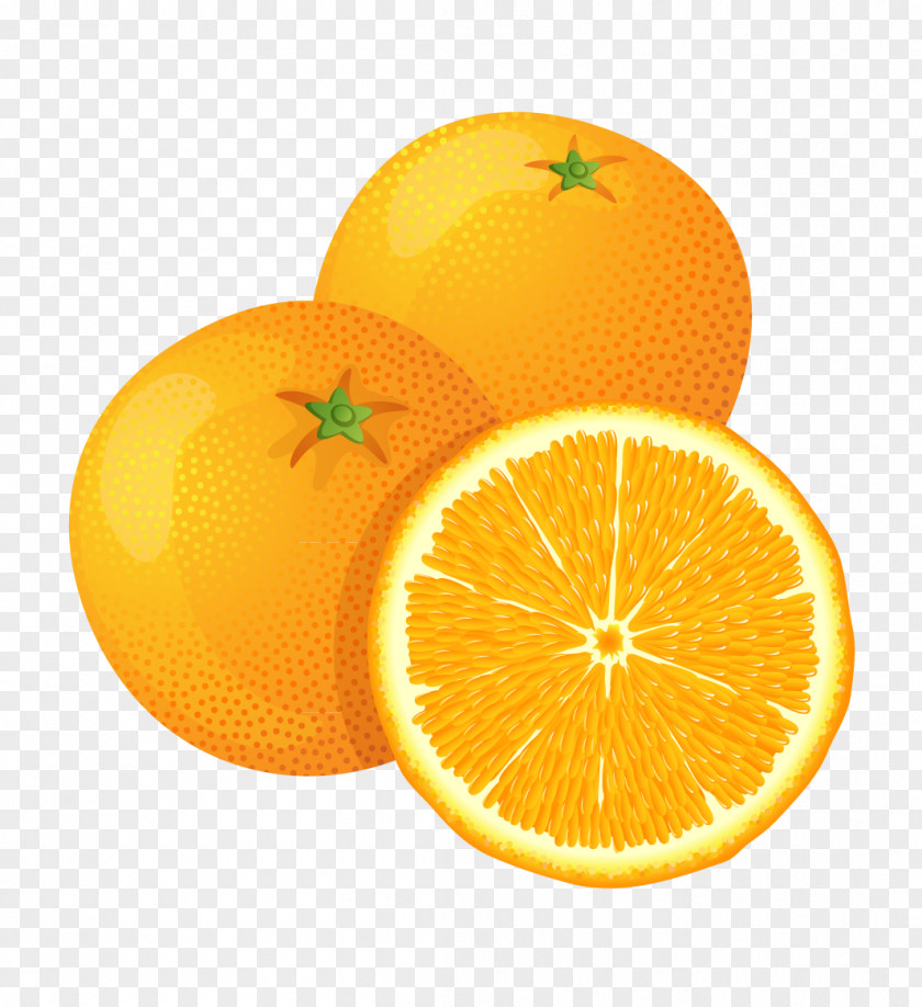 Ostrich Fruit Orange Clip Art PNG