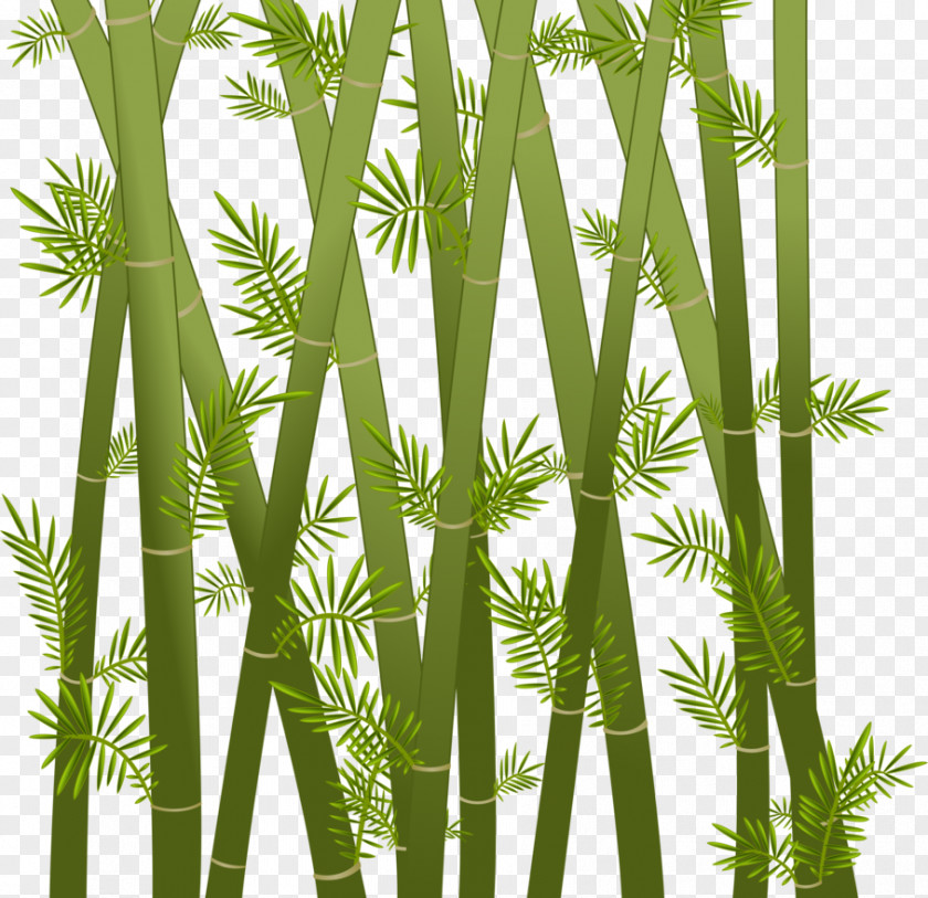 Bamboo Paper Drawing Art Clip PNG