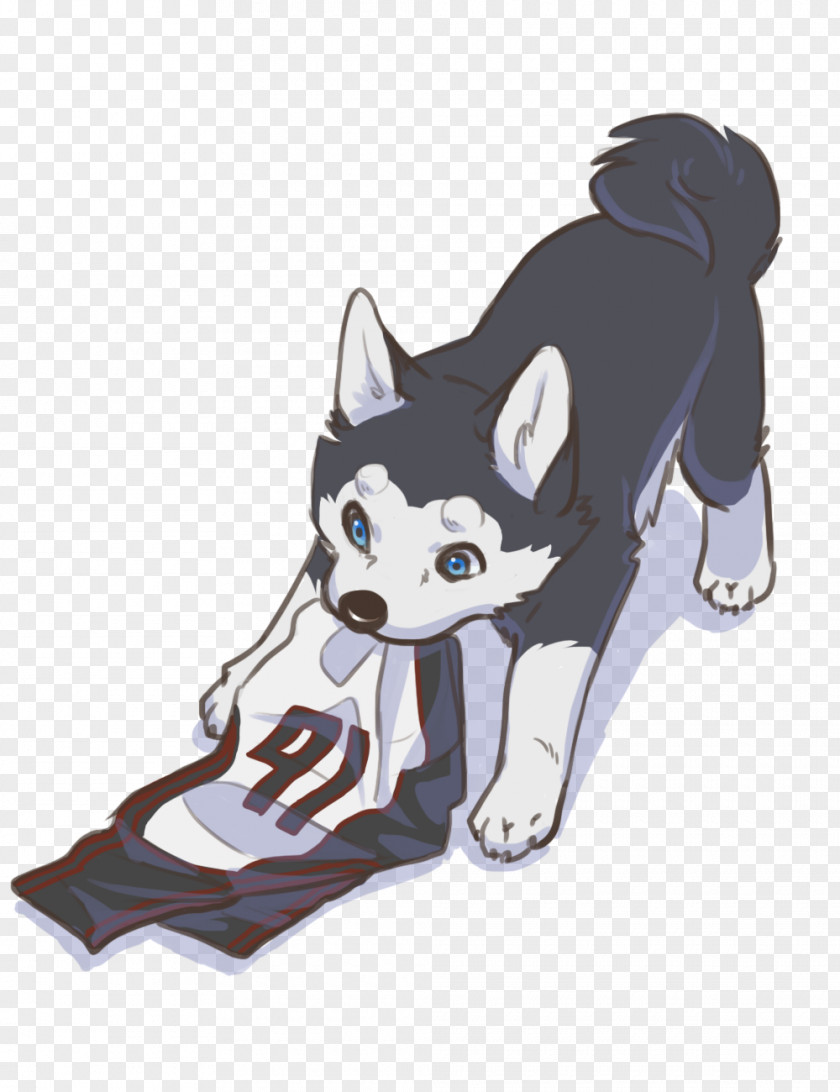 Dog Cat Cartoon Illustration Product PNG