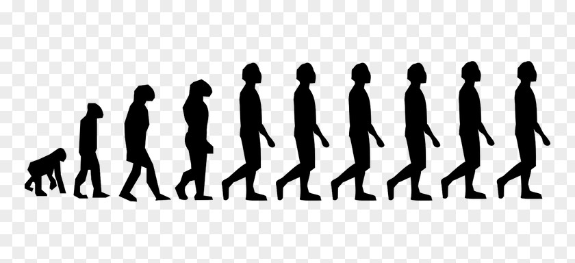 Science Neandertal Homo Sapiens Human Evolution Primate PNG