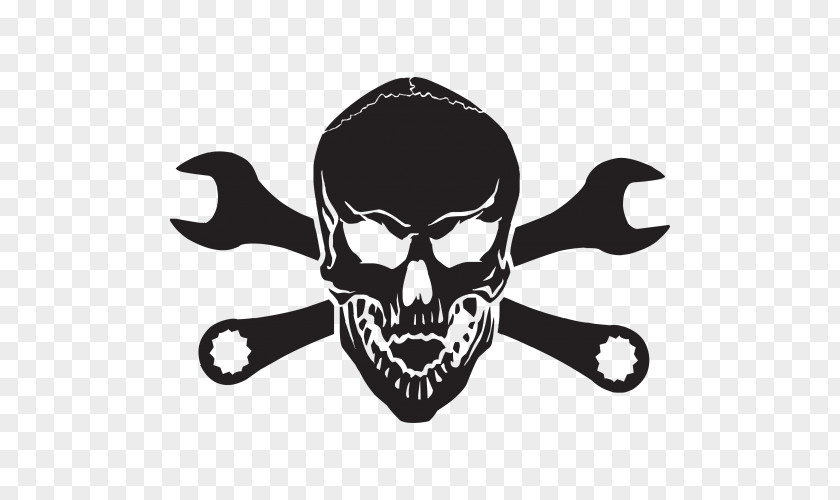 Skull Human Symbolism Decal Sticker PNG