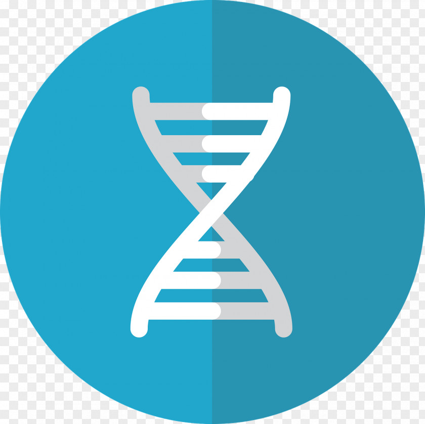 Vector Genetic Engineering Genetics DNA PNG