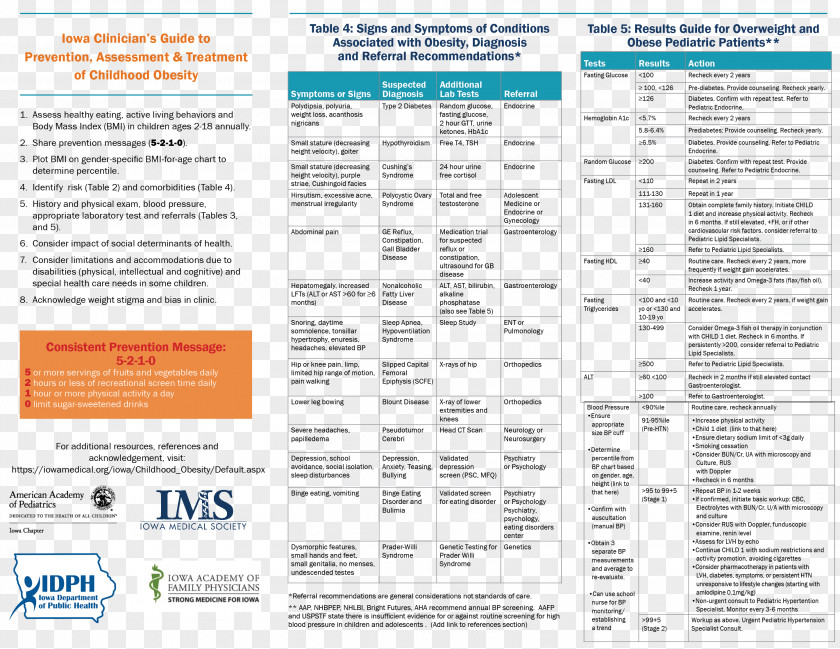 Childhood Obesity Health Care Iowa PNG