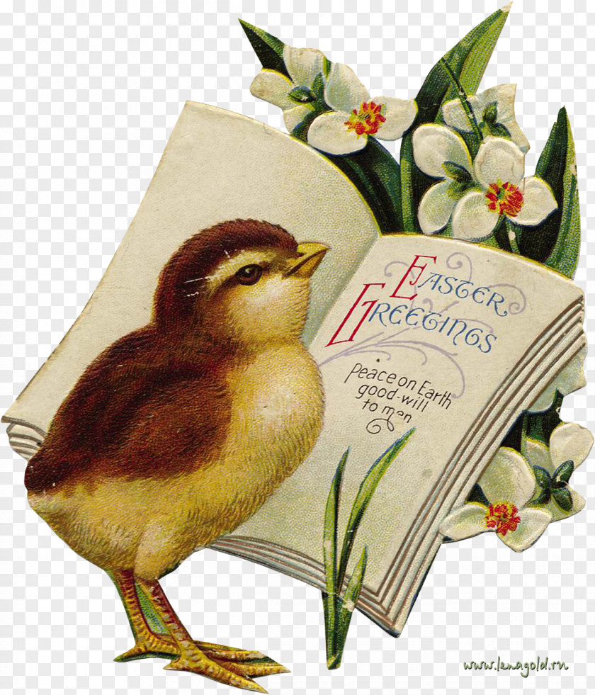 Easter Sunday Bunny Egg Postcard Clip Art PNG