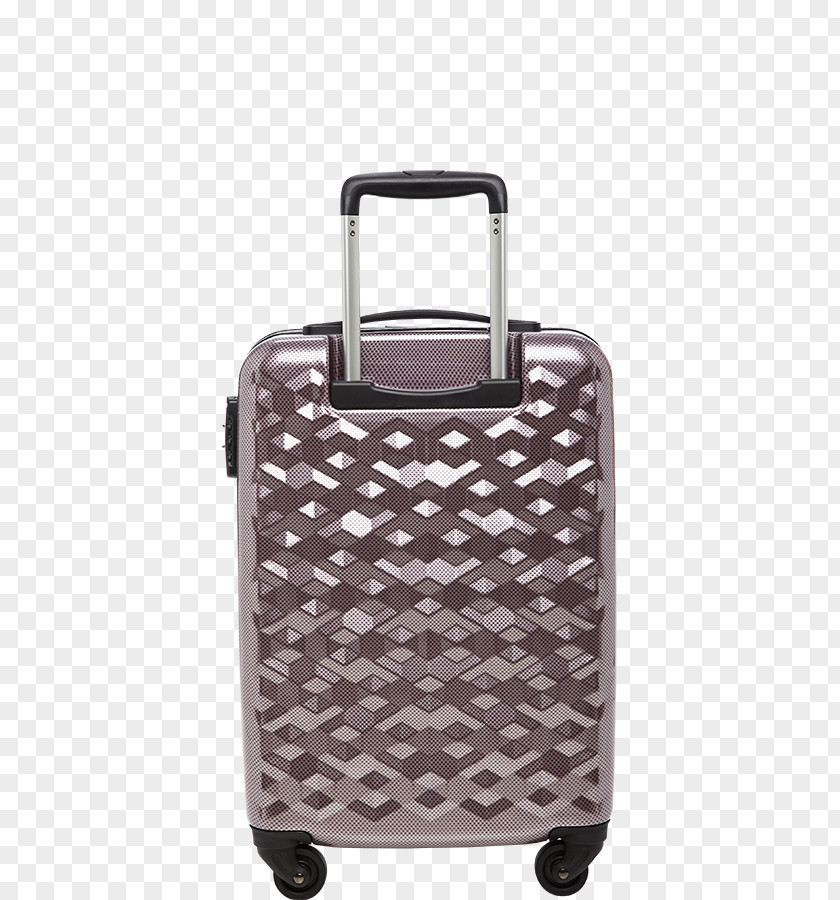 Fashion Model Hand Luggage Baggage PNG