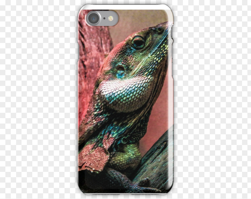 Frilled-neck Lizard Iguanas Close-up PNG