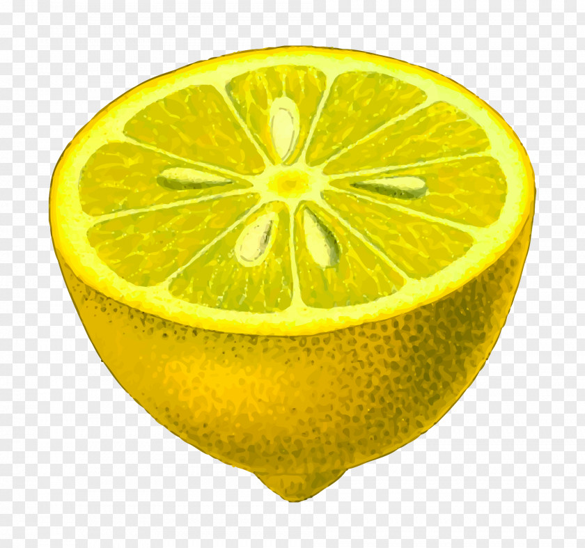 Lemon Clip Art PNG