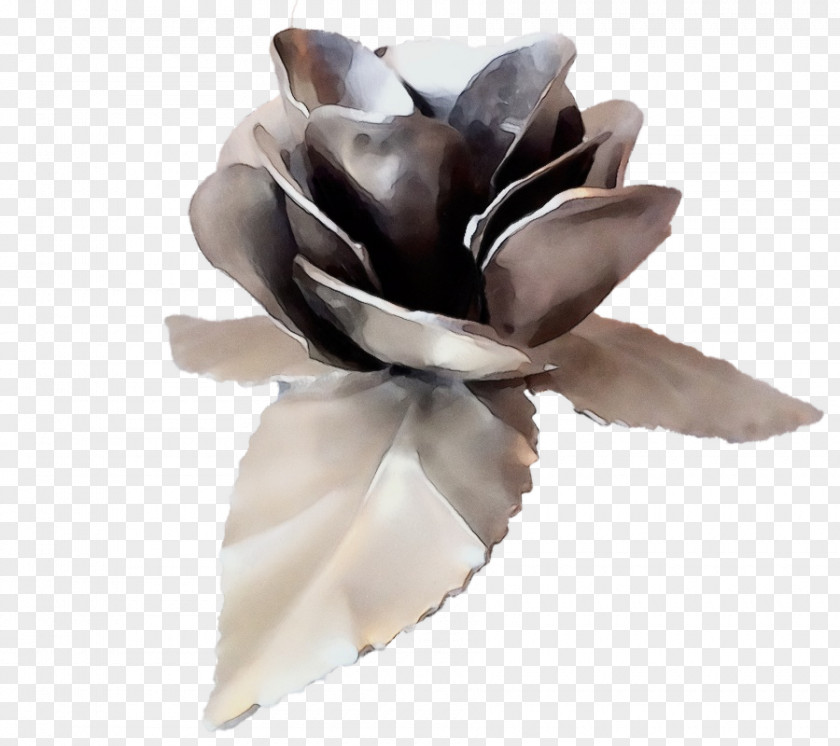 Magnolia Hair Accessory Rose PNG