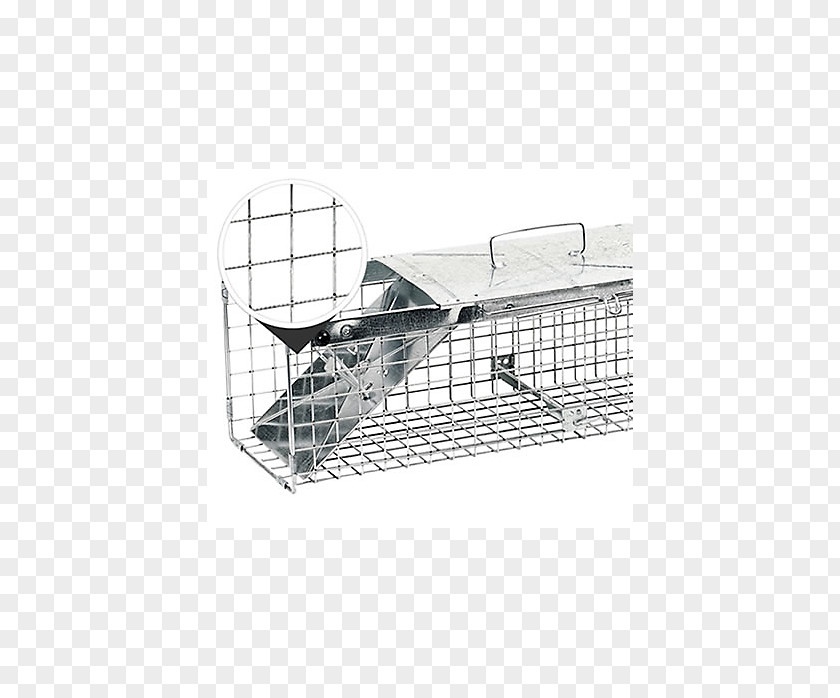 Mouse Trap Trapping Cage European Rabbit Fish PNG